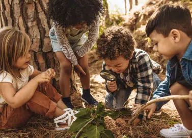 Photo of four children examining the soil and some leaves.