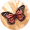 Noora profile picture